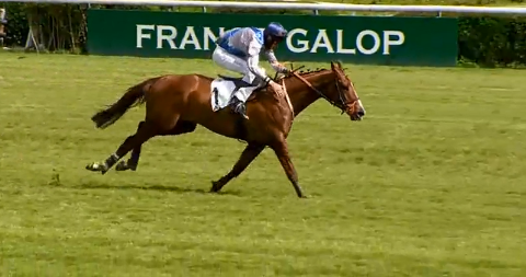 FRANCIA. Saint Turgeon e Davide Satalia si confermano nel Prix Alec Carter ad Auteuil. Il portacolori di Arcadio Vangelisti vince in maniera enfatica anche il secondo step sullo steeple