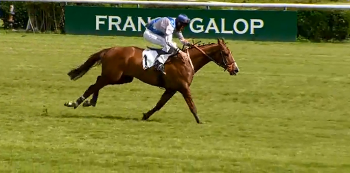 FRANCIA. Saint Turgeon e Davide Satalia si confermano nel Prix Alec Carter ad Auteuil. Il portacolori di Arcadio Vangelisti vince in maniera enfatica anche il secondo step sullo steeple