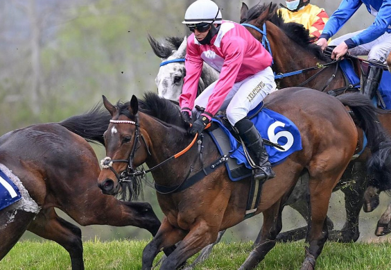 REPUBBLICA CECA. Partita la stagione, Antalgique vince in bello stile lo steeple cross di prima categoria a Lysa Nad Labem, Jan Kratochvil doppio, Aeneas valido secondo, buon rientro per Power Zar