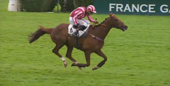 FRANCIA. Docteur De Baillon e Bertrand Lestrade decollano ad Auteuil nel Grand Steeple Chase de Paris, l’allievo di Louisa Carberry batte un ottimo Carriacou, secondo avanti a Galleo Conti e General En Chef, quinto il grigio Le Berry, non pervenuto Ajas. Hermes Baie e Le Listrac si confermano nel Du Breil e Dufaure