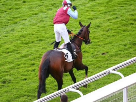 FRANCIA. L’Autonomie, un’aliena nella Grand Course de Haies d’Auteuil. A Parigi l’allieva di Francois Nicolle interpretata da Angelo Zuliani, vola imponendosi per ben 30 lunghezze, nulla da fare per la detentrice del titolo Paul’s Saga, terzo il cresciuto Gex