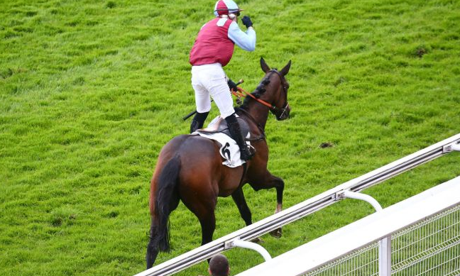 FRANCIA. L’Autonomie, un’aliena nella Grand Course de Haies d’Auteuil. A Parigi l’allieva di Francois Nicolle interpretata da Angelo Zuliani, vola imponendosi per ben 30 lunghezze, nulla da fare per la detentrice del titolo Paul’s Saga, terzo il cresciuto Gex