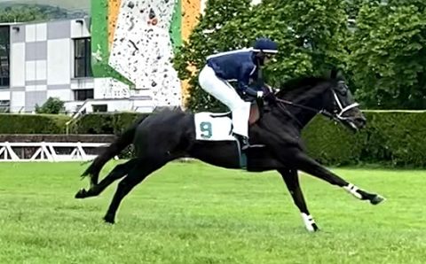 ITALIA. Merano, Lucechericama impressive all’esordio nel Cogne, l’allievo di Raf Romano ben gestito da Gaby Agus batte Kliff e Caribean Green, prudente Giausar. Purple Light si conferma sullo steeple, Vinci Per Noi replica nel Pietro Santoni, Desperados doppio Slozil