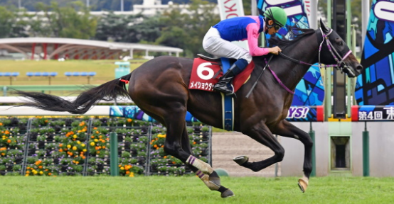 GIAPPONE E AUSTRALIA. La stagione è entrata nel vivo con i primi appuntamenti classici. Meisho Dassai si conferma nel Nakayama Grand Jump, The Statesman sorprende nel May Meeting di Warrnambool vincendo la Galleywood Hurdle