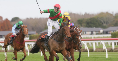NUOVA ZELANDA. Primo atto della stagione a Te Rapa. The Cossack e Aaron Kuru vincono la Waikato Hurdle; Mesmerize e Shaun Harris splendida affermazione nella Waikato Steeplechase