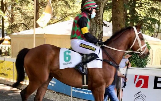 ITALIA. Merano, Prime Siepi e Sergio Giorgi, trials di qualità. Fra i giovani esordienti si parla bene di Desert Agenda (torna in sella Romano) e Gioberto molto piaciuti nei lavori del mattino. Splendido il cross country che guarda al ‘Roma’ con Power Zar, Almost Human, Il Superstite, Korfu e Leonardo Da Vinci