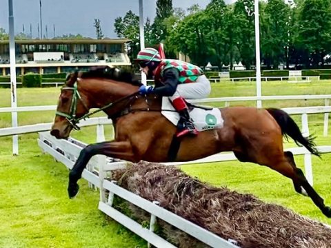 ITALIA. Il Sant’Artemio apre i battenti. Quattro le giornate in programma, clou nel finale di stagione la con Corsa Siepi di Treviso e Amedeo Duca D’Aosta. Nel primo atto da seguire Ignace fra i tre anni, Power Zar sullo steeple e Airvi in siepi