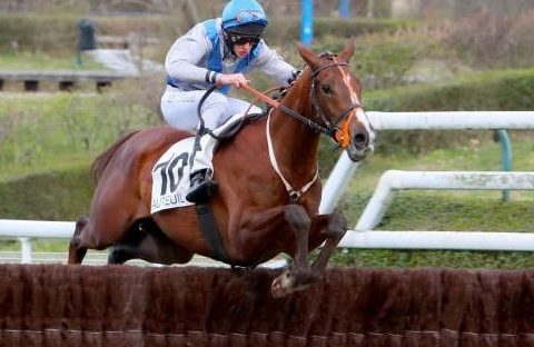FRANCIA. A Compiègne una splendida edizione del Prix The Stomp, in pista il detentore della corsa Roi Mage vs la coppia di Francois Nicolle Edgeoy e Garasil; in pista anche l’italo francese di Davide Satalia ed Arcadio Vangelisti Saint Turgeon