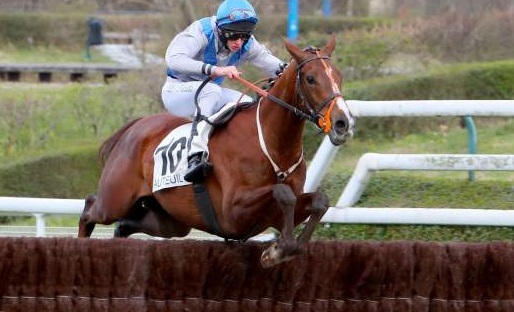 FRANCIA. A Compiègne una splendida edizione del Prix The Stomp, in pista il detentore della corsa Roi Mage vs la coppia di Francois Nicolle Edgeoy e Garasil; in pista anche l’italo francese di Davide Satalia ed Arcadio Vangelisti Saint Turgeon