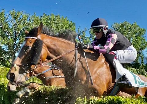 ITALIA. Gabriele Agus show! Il giovane jockey brilla nella domenica a Merano calando un magistrale hat trick. Urban Hero vince in bello stile la maiden novices, Mensch capolavoro sullo steeple, bene anche Chappy Bros. Zubiena si conferma nel cross