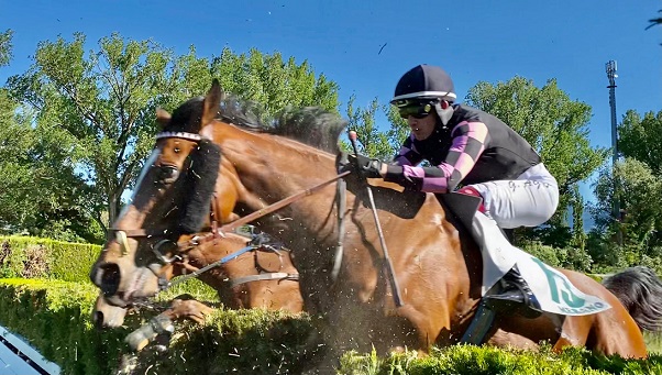 ITALIA. Merano, Urban Hero cerca il bis nella Novices contro Bravo Faisal, il bisbetico Azonto, Passion Return e il polacco Kliff. Incerta la selling del Bonomi, Romano in sella a El Bulli con quattro punte nel Nello Coccia; Mentore cerca la fuga nel cross per i Gr contro Zubiena e Manolo