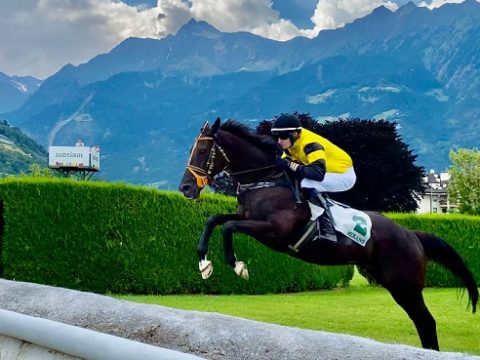 ITALIA. Merano, esame Sergio Giorgi per Almost Human che sfida i compagni di viaggio Broughton e Power Zar. Bella l’edizione del Saverio Lembo riservata ai 4 anni, gara in proiezione alla siepi per generazione, in pista No Profit, Big City, Brillon du Fouquet e Urban Hero, oltre all’affascinante debutto sugli ostacoli di Aurelius In Love
