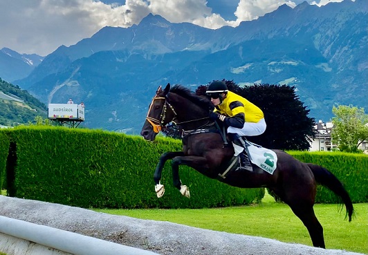 ITALIA. Merano, esame Sergio Giorgi per Almost Human che sfida i compagni di viaggio Broughton e Power Zar. Bella l’edizione del Saverio Lembo riservata ai 4 anni, gara in proiezione alla siepi per generazione, in pista No Profit, Big City, Brillon du Fouquet e Urban Hero, oltre all’affascinante debutto sugli ostacoli di Aurelius In Love