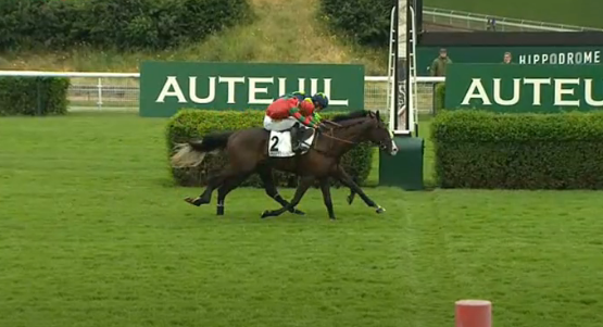 FRANCIA. Auteuil, Bimbo Has ed Angelo Zuliani all’ultimo respiro nel Prix La Perichole, battuto Youtwo Glass. Belle Promesse si conferma nel Christian de Trédern e centra l’hat trick di stagione, in sella Pierre Dubourg per Isabelle Gallorini