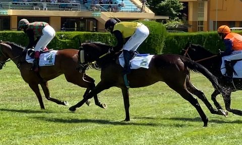 ITALIA. Merano, Broughton è tornato. Il vincitore del Nazioni conquista il Sergio Giorgi nonostante la lunga assenza dalle piste, adesso l’allievo di Pepi Vana punta al Roma. Doppio Agus, Troger, Romano con Chateaudemalmaison e Schwarzwald; splendido esordio per l’allievo di Paolo Favero Fior Gavoi