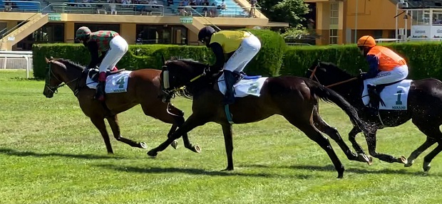 ITALIA. Merano, Broughton è  tornato. Il vincitore del Nazioni conquista il Sergio Giorgi nonostante la lunga assenza dalle piste, adesso l’allievo di Pepi Vana punta al Roma. Doppio Agus, Troger, Romano con Chateaudemalmaison e Schwarzwald; splendido esordio per l’allievo di Paolo Favero Fior Gavoi