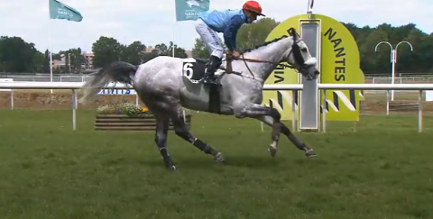 FRANCIA. Calnutz e Geoffrey Ré vincono il Grand Prix Synergy Grand Course de Haies de Nantes. L’allievo di Philippe e Camille Peltier, ancora protagonista sull’anello di Boulevard des Tribunes, 4 vittorie in 5 gare