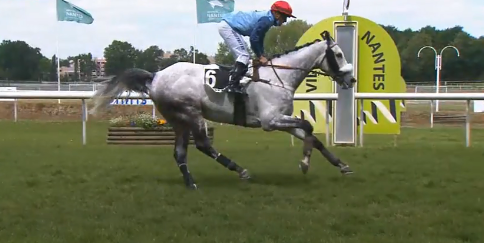 FRANCIA. Calnutz e Geoffrey Ré vincono il Grand Prix Synergy Grand Course de Haies de Nantes. L’allievo di Philippe e Camille Peltier, ancora protagonista sull’anello di Boulevard des Tribunes, 4 vittorie in 5 gare