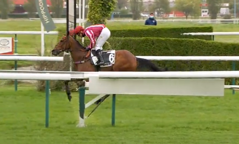 FRANCIA. Giovedì a Dieppe una bella ed incerta edizione della Grand Course de Haies, dove Louis Carberry tenta lo sgambetto alla triade di Nicolle con la femmina Dinette de Ballon affidata a Bertrand Lestrade, reduce dalla vittoria sulla pista contro il nostro Gangster De Coddes