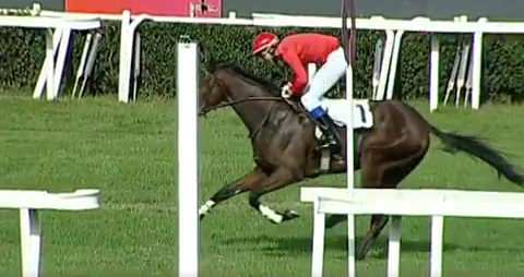 ITALIA. Urban Hero si conferma nella novices, l’allievo di Raf Romano batte un valido Passion Return. Il trainer bresciano raddoppia sullo steeple con El Bulli; Dalton e Ivan Cherchi ok, nel cross si isola Manolo