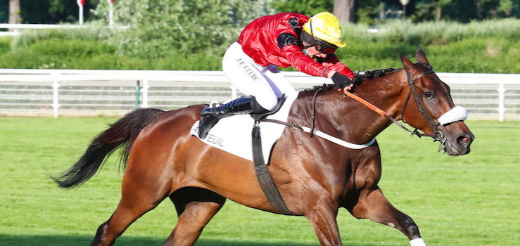 FRANCIA. A Compiégne si corre il tradizionale Prix The Stomp, prova riservata agli anziani che puntano al Grande Steeple in programma alla fine di Ottobre. Feu Follet da battere per la triade Nicolle capeggiata dalla femmina Kolina Has e l’ospite inglese Mercian Prince