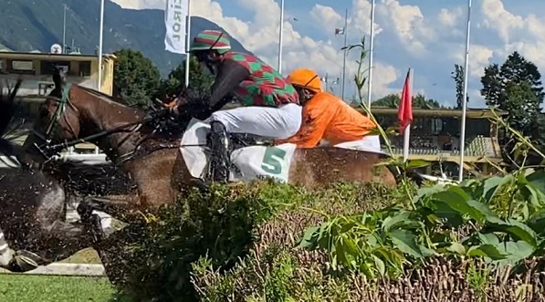 ITALIA. Domenica a Merano giornata interlocutoria con un’interessante maiden riservata agli anziani. Si riparte dall’esordienti del Cogne, con Un Beso, Darzan, Ninky Nonk, Zain Master e Amant. Nel cross amatori in pista, Fly Filo Fly vs il rientrante Mentore e il vecchio Schwarzwald