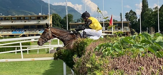 ITALIA. Merano, Gangster De Coddes si conferma anche nel Vincenzo Pollio. Dopo il sigillo nel Vanoni, un altro bel primo piano dell’allievo di Pepi Vana che adesso guarda al Piero e Franco Richard. En plein Paolo Favero nella mini periziata in siepi