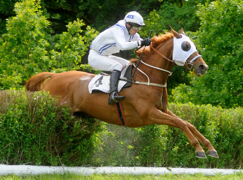 SVEZIA. Svenskt Grand National con soli sei partecipanti ed un favorito che porta il nome di Tegerek, allievo di Pavel Vovcenko interpretato da Luca Murfuni. Niklas Loven, jockey veterano di Strömsholm, crede nel suo Mutadaffeq