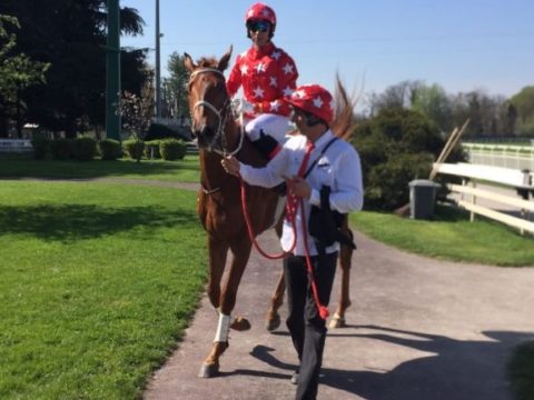 ITALIA. Merano week end, sabato primo atto con Gran Siepi D’Italia e Criterium di Primavera. Live Your Life cerca il suo secondo grade one meranese dopo la travolgente vittoria nel Chivas Regal, contro Dominique e Stuke. Fra i 4 anni c’è Roncal imbattuto nel 2021