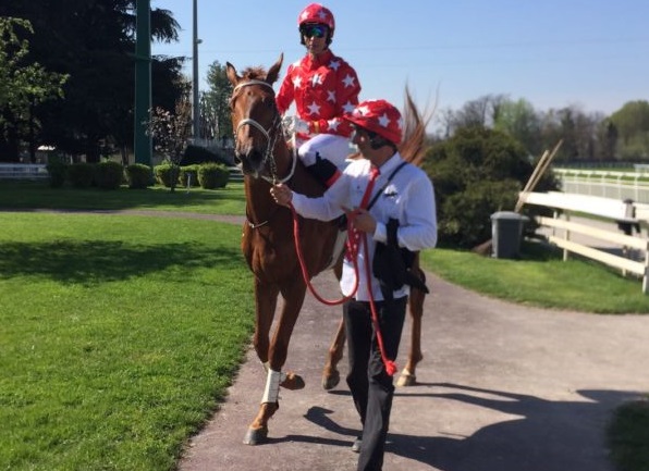 ITALIA. Merano week end, sabato primo atto con Gran Siepi D’Italia e Criterium di Primavera. Live Your Life cerca il suo secondo grade one meranese dopo la travolgente vittoria nel Chivas Regal, contro Dominique e Stuke. Fra i 4 anni c’è Roncal imbattuto nel 2021