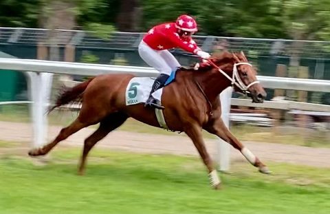 ITALIA. Merano, Live Your Life mostruoso nella Gran Siepi d’Italia, il portacolori di Christian Troger interpretato da Raffaele Romano domina il Gr1 lasciando a distacco il polacco Skins Rock, terzo il rientrante Stuke. Roncal ok nel Criterium di Primavera; doppio Slozil
