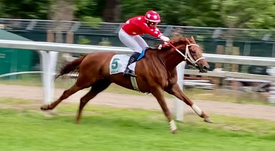 ITALIA. Merano, Live Your Life mostruoso nella Gran Siepi d’Italia, il portacolori di Christian Troger interpretato da Raffaele Romano domina il Gr1 lasciando a distacco il polacco Skins Rock, terzo il rientrante Stuke. Roncal ok nel Criterium di Primavera; doppio Slozil