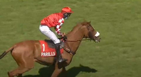 FRANCIA. Emmanuel Clayeux domina il Grand Cross de Lyon Parilly, Prix André Baboin. Lucky Net Love e James Reveley vincono in splendido stile precedendo la compagna di training Netcam (Felix De Giles) buon terzo Black N’Roses