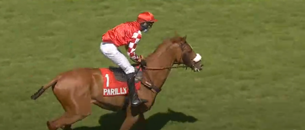 FRANCIA. Emmanuel Clayeux domina il Grand Cross de Lyon Parilly, Prix André Baboin. Lucky Net Love e James Reveley vincono in splendido stile precedendo la compagna di training Netcam (Felix De Giles) buon terzo Black N’Roses