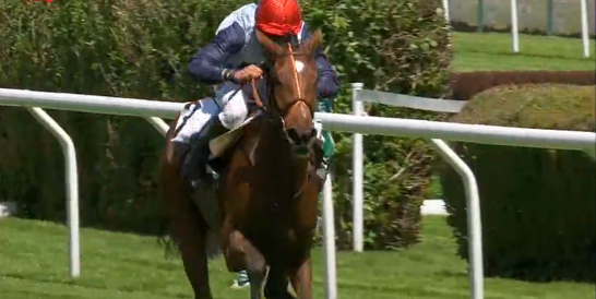 FRANCIA. Super samedi ad Auteuil con cinque corse di gruppo, clou Prix Des Drags sullo steeple chase, incerta La Barka. I tre anni al via nella doppia poule maschi femmine con gli imbattuti di David Cottin, Matilda du Berlais e Paradiso