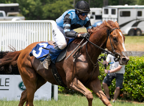 USA. Negli Stati Uniti crescono nuove leve. Il giovane jockey di Camden Mell Boucher (non ancora diplomato al liceo) vince il Tyron Block House Racing al Green Creek Race Course di Columbus in sella a The Happy Giant, l’allievo di Allison Fulmer si è imposto con oltre sei lunghezze; sabato 26 l’attesissimo Iroquois Steeplechase