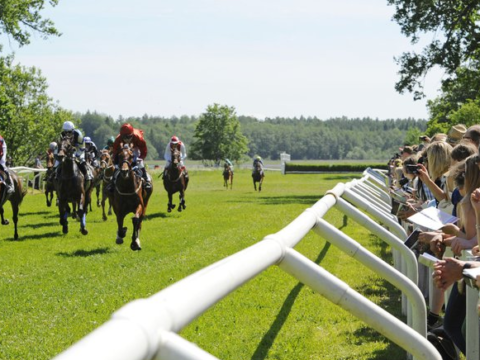 SVEZIA. Sabato 19 andrà in scena lo Svenskt Grand National di Strömsholm senza la presenza del pubblico. Nonostante un allentamento delle restrizioni, i contagi pari a zero, non sarà possibile aprire a causa di un area che logisticamente non è delimitabile