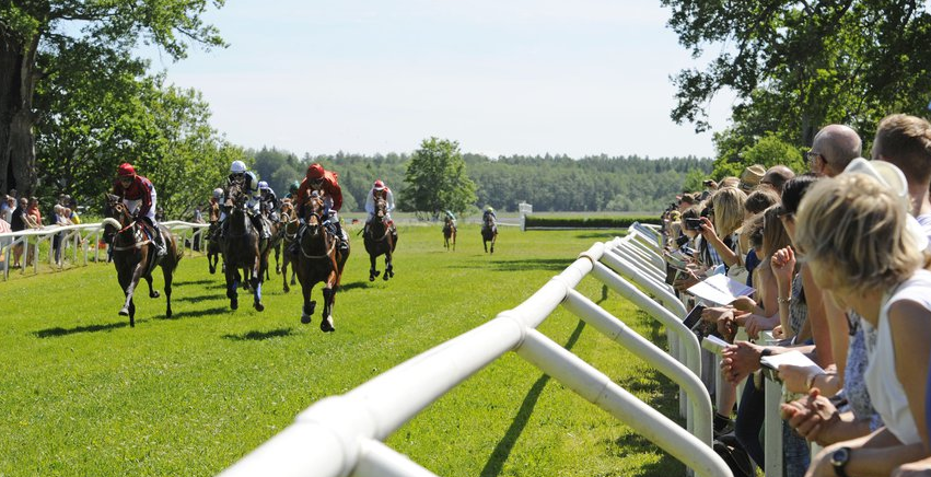 SVEZIA. Sabato 19 andrà in scena lo Svenskt Grand National di Strömsholm senza la presenza del pubblico. Nonostante un allentamento delle restrizioni, i contagi pari a zero, non sarà possibile aprire a causa di un area che logisticamente non è delimitabile