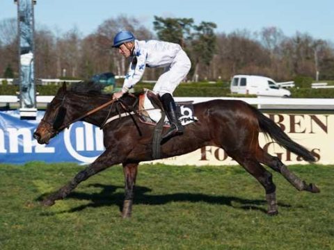 FRANCIA. Giovedì una bella edizione del Prix André Baboin – Grand Cross de Lyon, sui 5200 metri in pista molti specialisti come Tequila Sun, Cartagena e Bucefal, due le pedine di Emmanuel Clayeux
