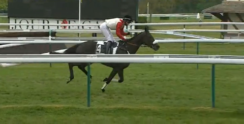 FRANCIA. Ultimo convegno ad Auteuil con il tradizionale Prix Rigoletto, listed sullo steeple chase nella quale cerca risalto la femmina allenata da Hector de Lageneste e Guillaume Macaire Thrilling, contro Amour du Mathan, Je Deviens Moi e Royalclety