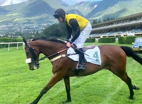 ITALIA. Merano, i compagni Andoins e Kolsche Jung vs il ceco Shent sullo steeple; Kings Rock atteso in apertura di programma, Quartius da seguire nello Spegasso Carlo Ferrari riservato ai giovani saltatori