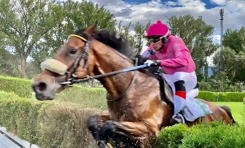 ITALIA. Merano, Aventus replica nella periziata staccando netto dai compagni Grand Sud e Passion Return, forfait di Linosvky e Candalex. Azonto bis, si salva dal misfatto finale; Big Mago vince il cross per i Gr mettendo un muso davanti a Vanessa e Daniele