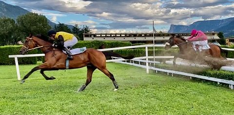 ITALIA. Merano a tutto Vana. Overly Sweet debutto ad hoc sullo steeple, battuto lo sfortunato Salcret. Mushrae (doppio Bartos) vince in apertura di programma, netto Andoins in handicap; graffia ancora il vecchio Aventus