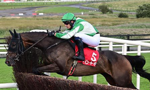 IRLANDA. Royal Rendezvous e Paul Townend perfetto coast to coast nell’atteso Galway Plate. A Ballybrit en plein Willie Mullins che piazza al secondo posto anche Easy Game, terzo Modus avanti a The Shunter