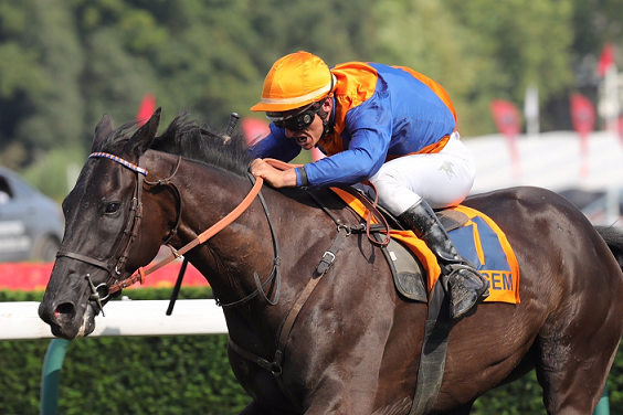 BELGIO. Waregem, grande attesa per il Grand Steeple Chase des Flandres Ing Grote Van Vlandereen, dove il master di la Manche Patrice Quinton cerca la sua undicesima vittoria consecutiva presentando quattro pedine sulla linea di partenza, fra queste il veterano Calisco De Kerser vincitore dell’edizione 2019