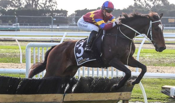 NUOVA ZELANDA. Mercoledì grande appuntamento a Canterbury per la 131 esima edizione del New Zealand Grand National Hurdle, in pista il veterano The Cossack opposto alla stella emergente Chief Sequoyah, in pista anche Aigne e Beau Geste