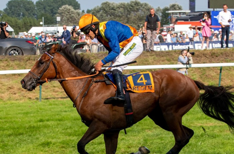 BELGIO. Waregem, Gino Des Dunes e Felix De Giles vincono l’Ing Grote Steeple Chase van Vlaanderen, il grand national belga, battuto Arc Du Chatelet ancora secondo come nel 2019. Per il trainer Patrice Quinton si tratta della decima vittoria consecutiva nella corsa delle Fiandre
