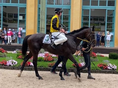 ITALIA. Merano, nella esordienti del Mazzoni, Boule De Neige vola sul pesante di Maia, l’allievo di Josef Vana batte con allungo imparabile la sfortunata Zankala e il favorito Black Watch. Il Superstite magnifico, undicesima vittoria sulla pista