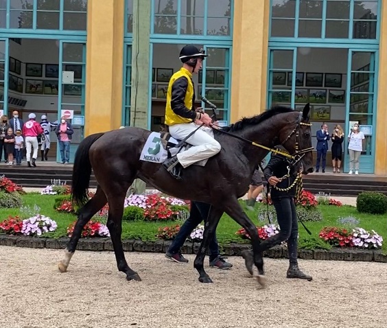 ITALIA. Merano, nella esordienti del Mazzoni, Boule De Neige vola sul pesante di Maia, l’allievo di Josef Vana batte con allungo imparabile la sfortunata Zankala e il favorito Black Watch. Il Superstite magnifico, undicesima vittoria sulla pista