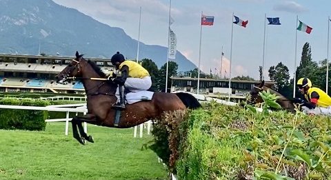 ITALIA. Merano, L’Estran superbo nel Creme Anglaise. L’allievo di Pepi Vana domina la listed con un calibrato coast to coast e si candida nuovamente per un posto in prima fila nel Gp; battuti Northerly Wind, il compagno Notti Magiche e la novità Enola Gay. Attlee vince la maiden, Linovsky sul filo di lana nella condizionata in siepi